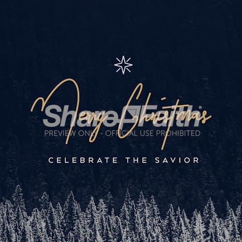 Merry Christmas Celebrate The Savior Social Media Graphic