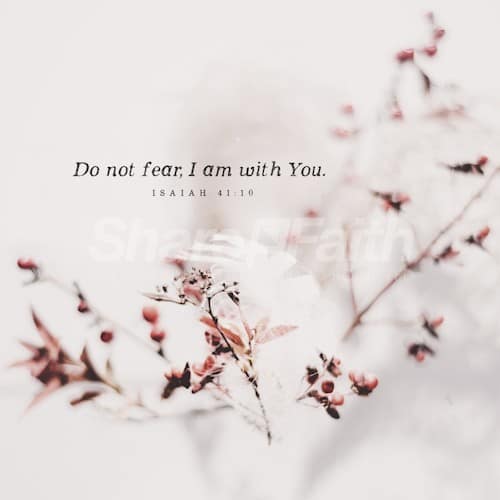 Isaiah 41:10 Do Not Fear Social Media Graphic