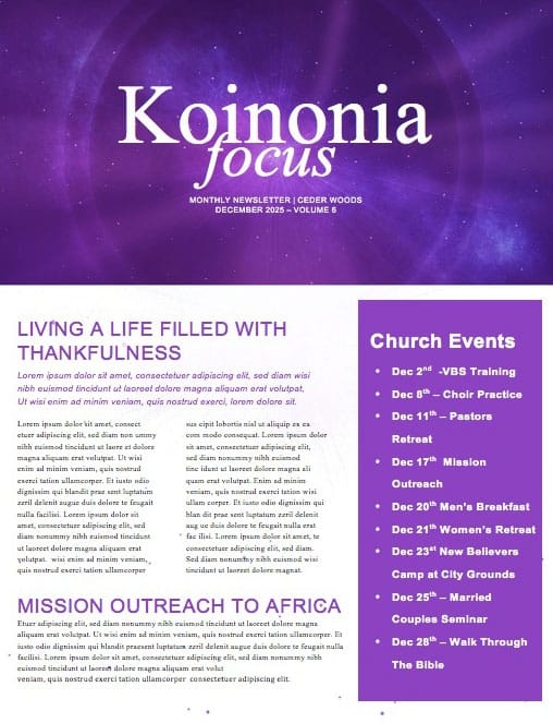 Light of the World Star Christmas Newsletter