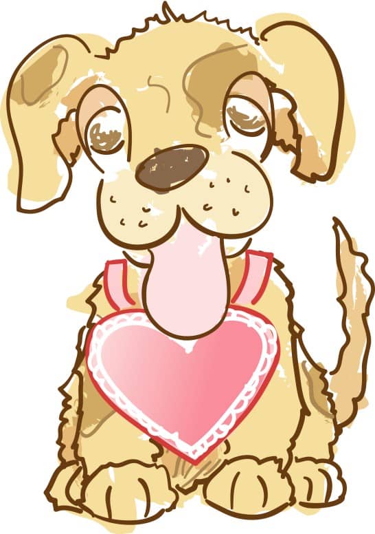Valentine Puppy