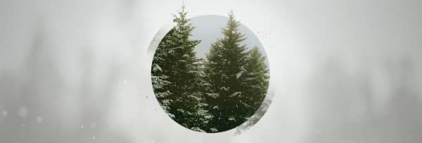Give The Gift Of Hope Christmas Website Banner