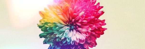 Women’s Bible Study Church Website Banner