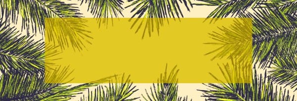 Palm Sunday Church Website Banner