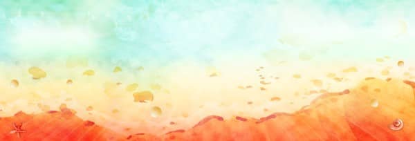 Summer Events Church Website Banner