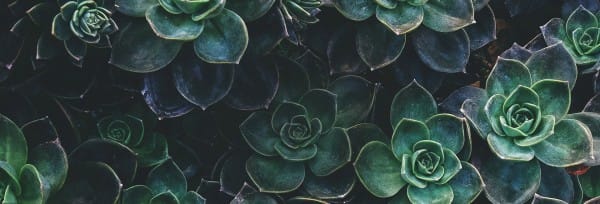 How Sweet The Sound Church Website Banner
