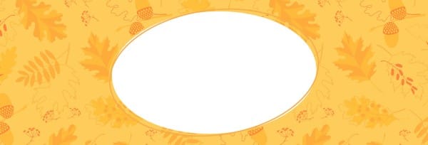 Harvest Party Church Website Graphic