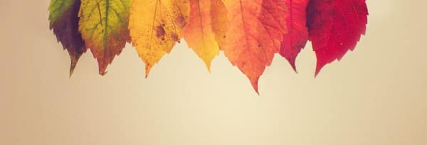 Small Groups Church Website Banner