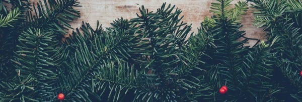 Merry Christmas From Our Family To Yours Website Banner