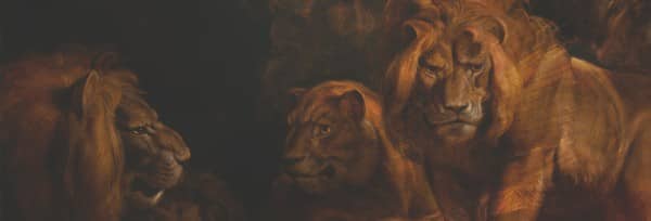 Book Of Daniel Lion's Den Website Graphic