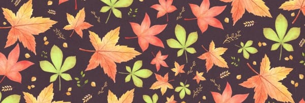 Happy Thanksgiving Holiday Website Banner