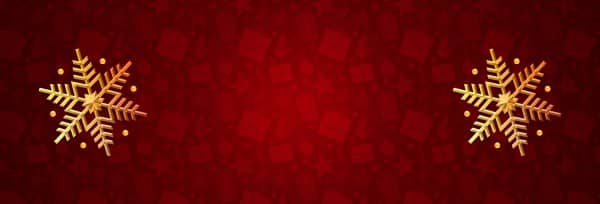 Merry Christmas Service Website Banner