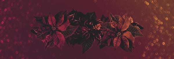 Merry Christmas Holly Service Website Banner
