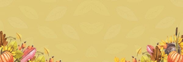 Harvest Party Church Website Banner