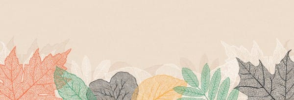 Autumn Festival Church Sermon Website Banner