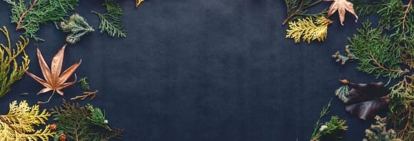 Celebrate Thanksgiving Together Website Banner