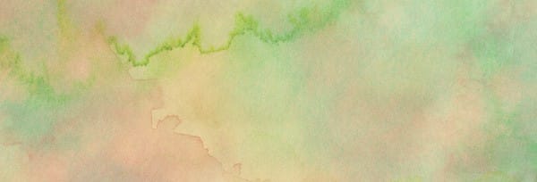Be Kind Rose Church Website Banner