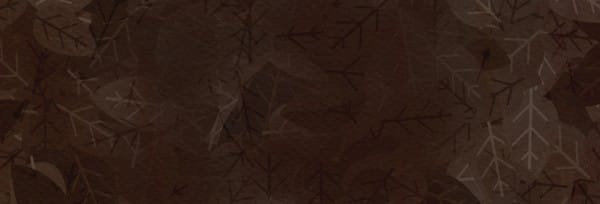 Happy Thanksgiving Brown Website Banner