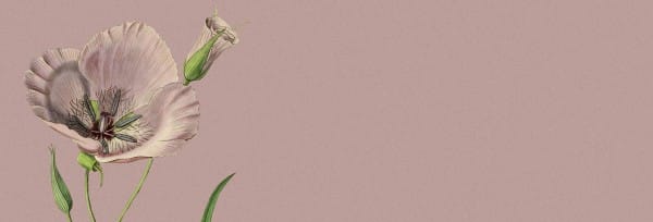 More Than Enough Church Website Banner