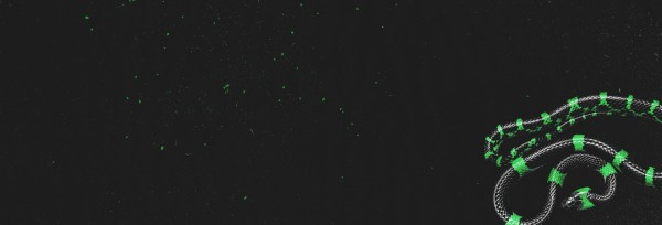 Tempted Church Website Banner