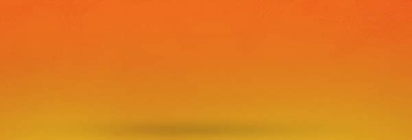 Back To School Orange Website Banner