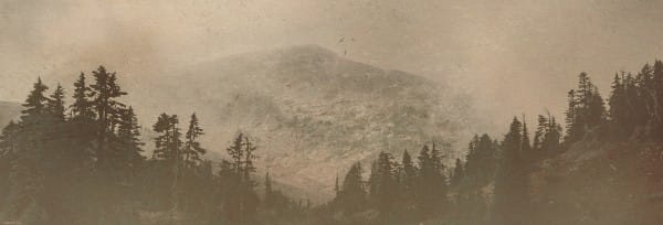 Into The Wild Church Website Banner