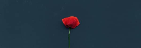 Lest We Forget Church Website Banner