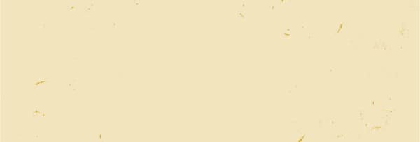 Thanksgiving Food Drive Church Website Banner