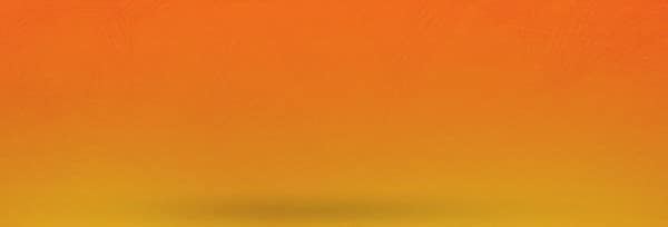 Back To School Orange Website Banner