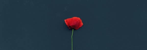 Lest We Forget Church Website Banner