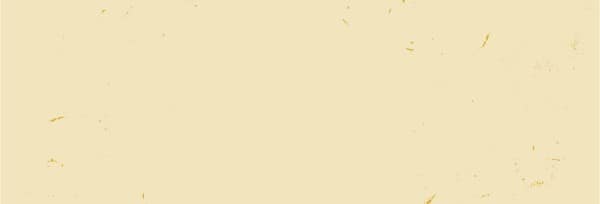 Thanksgiving Food Drive Church Website Banner