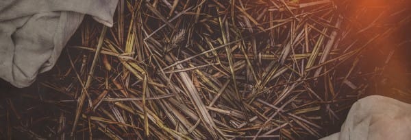 The Gifts of Christmas Website Banner