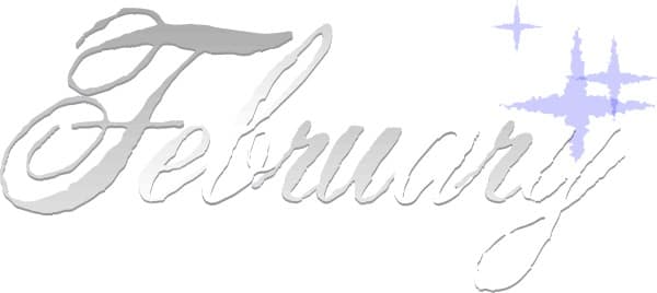 Silver Sparkling February