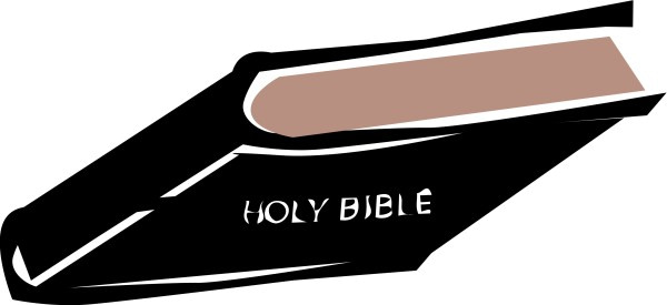 Holy Bible from Below