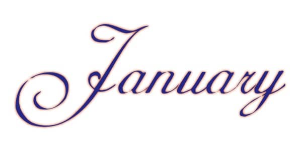 Elegant Navy Blue January