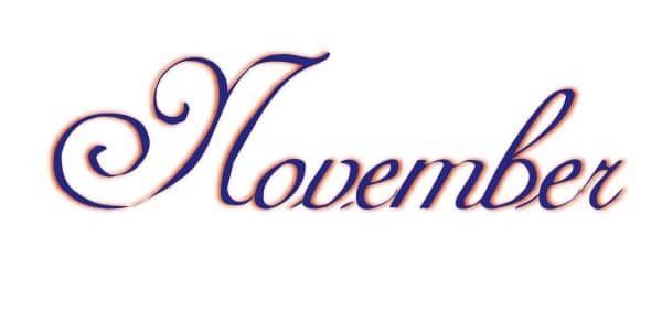 Elegant Navy Blue November