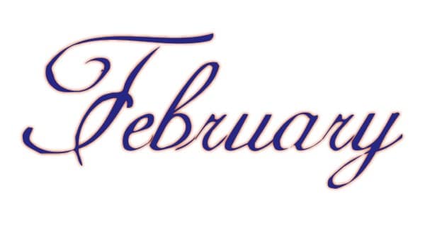 Elegant Navy Blue February