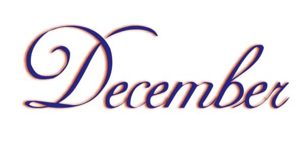 Elegant Navy Blue December