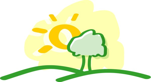 Tree and Sun