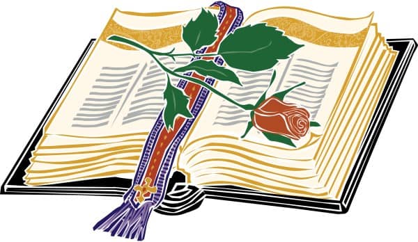 Open Bible with Rose