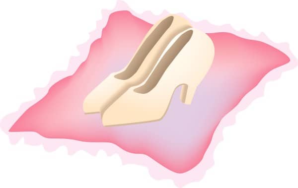 Fancy Shoes on Pillow
