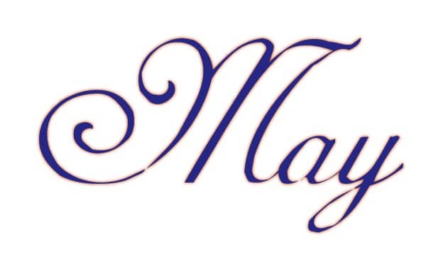 Elegant Navy Blue May