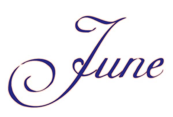 Elegant Navy Blue June