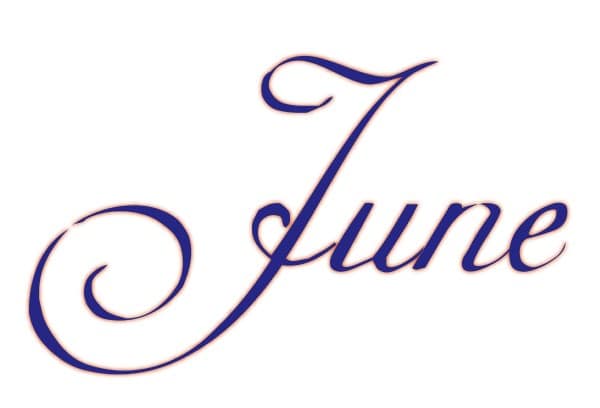 Elegant Navy Blue June