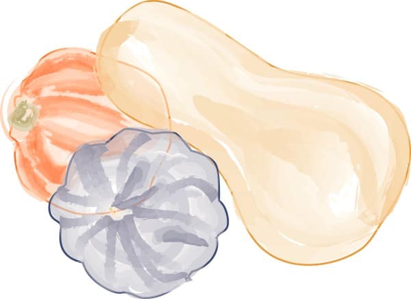 Fall Squash