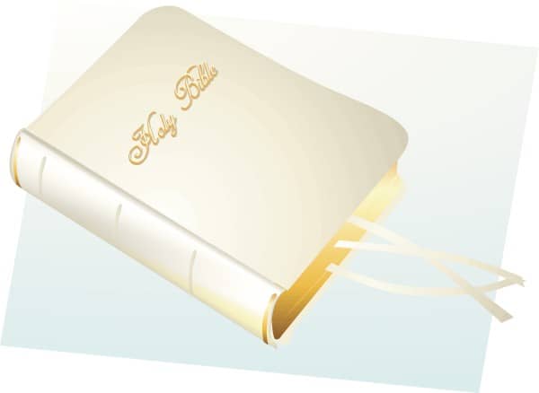 Holy Bible in White