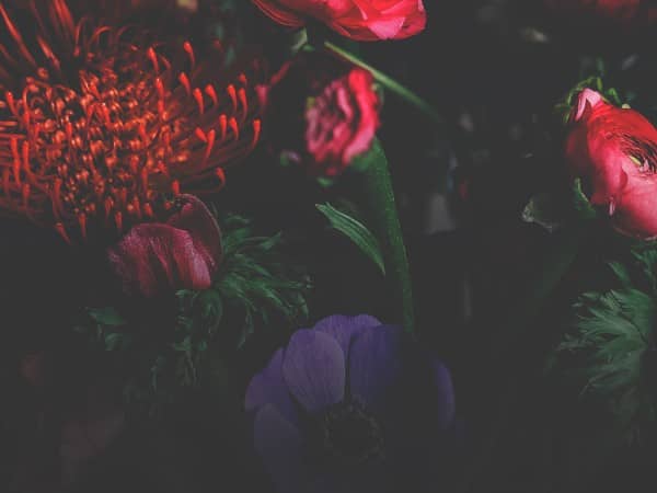 Mother's Day Flower Church Worship Background