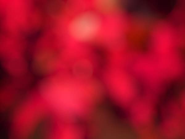 Deep Red Bokeh Worship Background