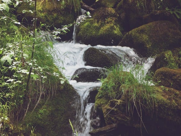 Silent Streams Nature Worship Background