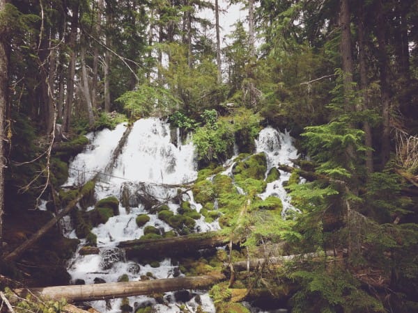 Forest Waterfall Nature Worship Background