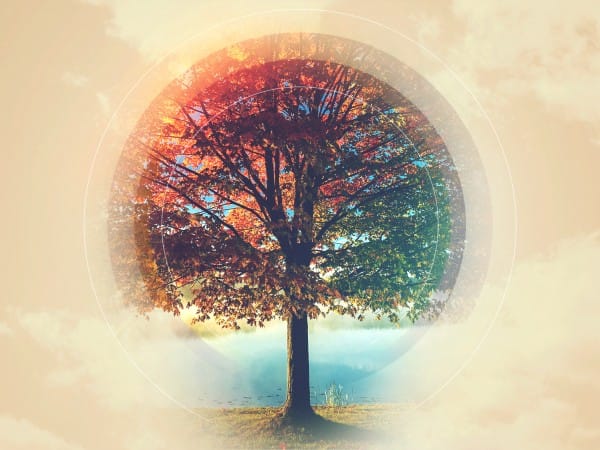 We Are Thankful Fall Worship Background